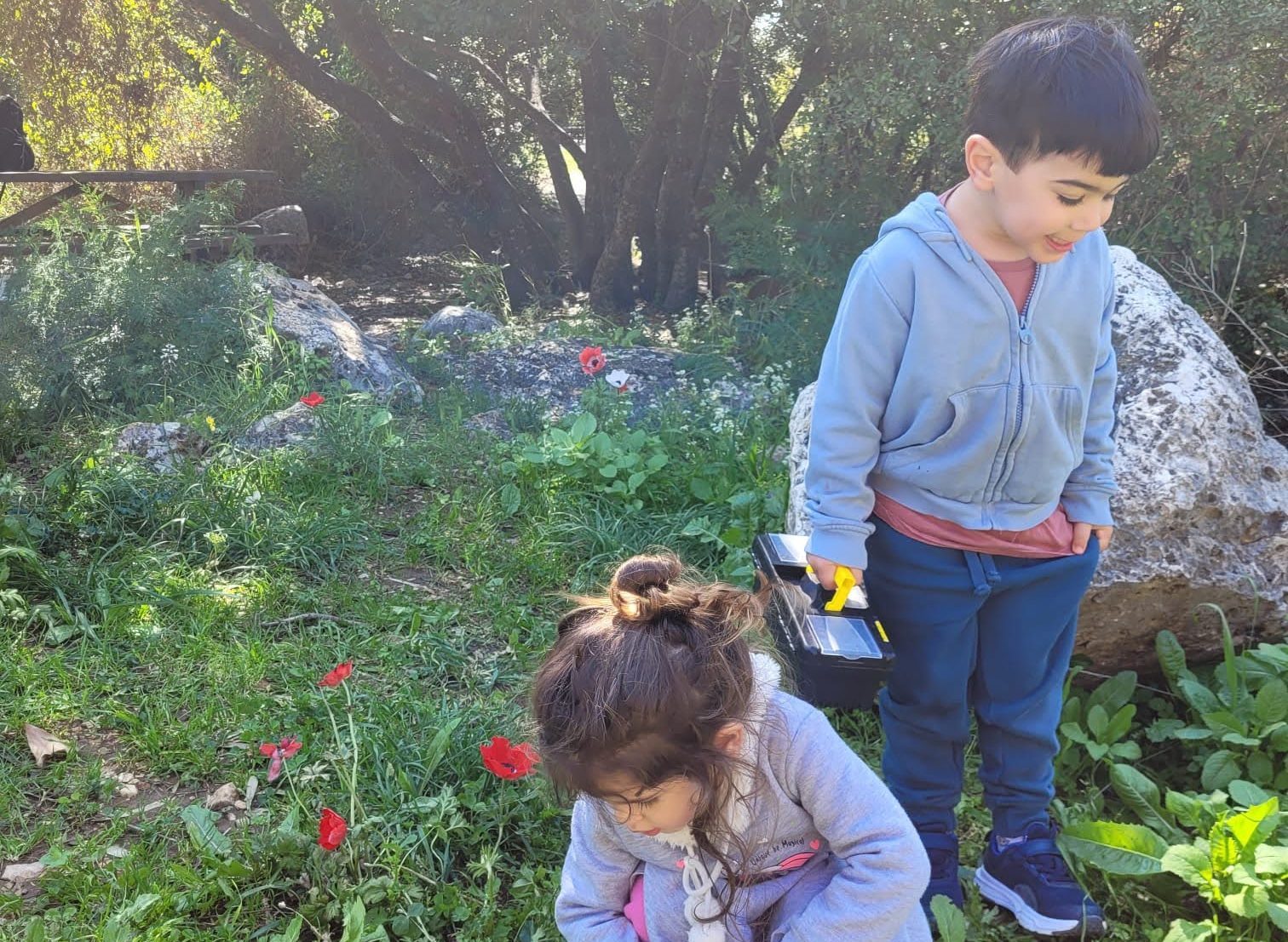 שמורת טבע נחל המערות